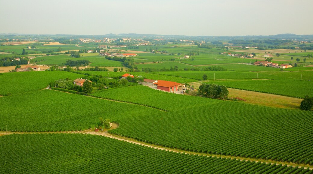 Tower of St. Martin featuring a small town or village, landscape views and tranquil scenes