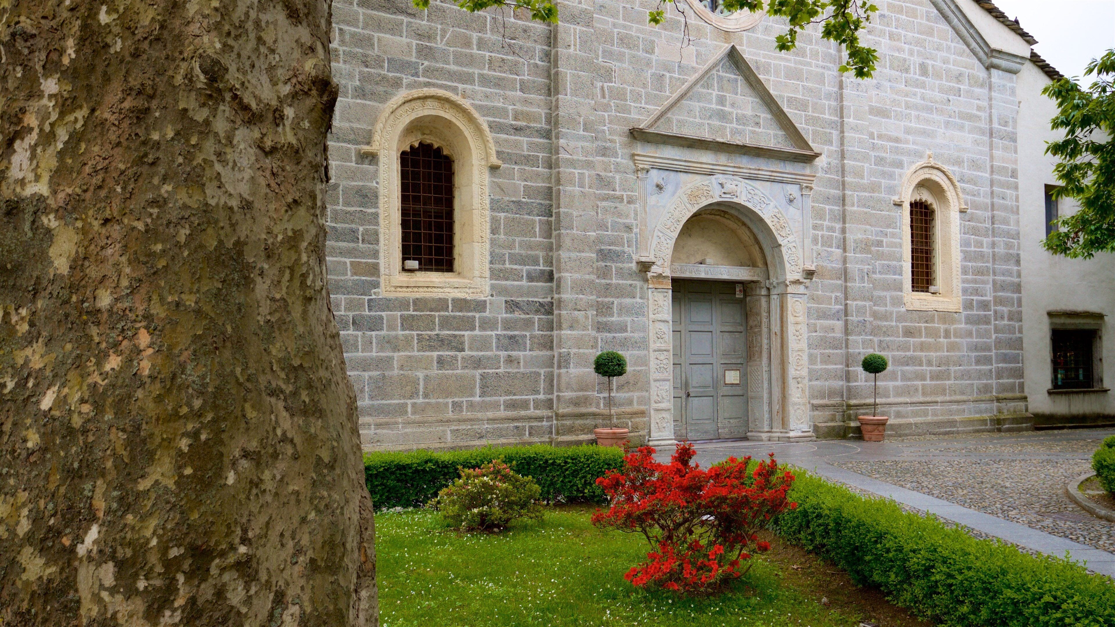 Madonna di Campagna Church showing heritage elements, flowers and a park