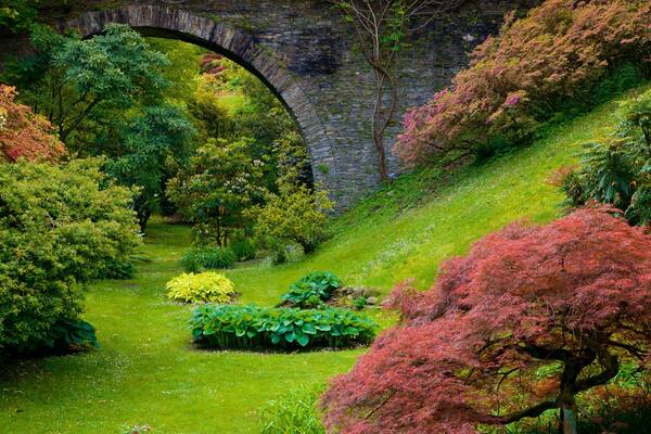 Un jardin luxuriant avec un pont de pierre, différentes espèces d’arbres et une zone herbeuse.
