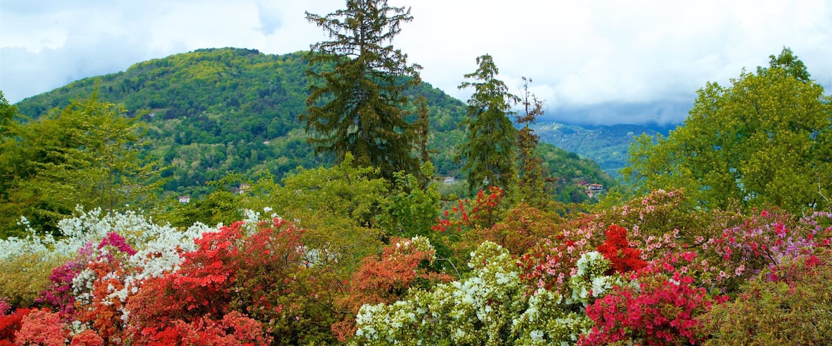 Giardini Botanici Villa Taranto caratteristiche di fiori di campo e parco