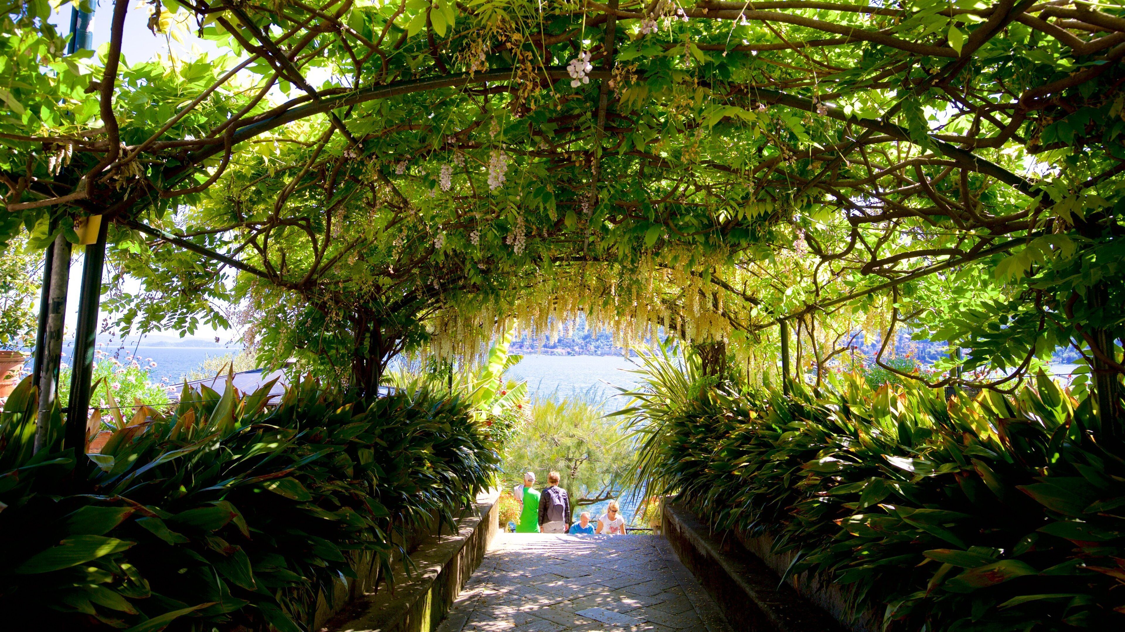 Isola Madre Botanical Garden featuring a garden and interior views