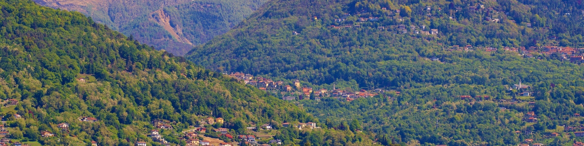Jardim Botânico de Isola Madre caracterizando montanhas, um lago ou charco e cenas tranquilas