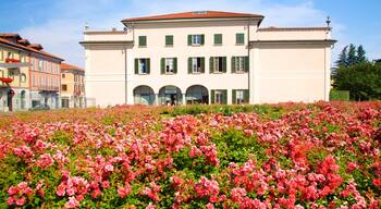 Palazzo Estense welches beinhaltet Palast oder Schloss, Blumen und Wildblumen