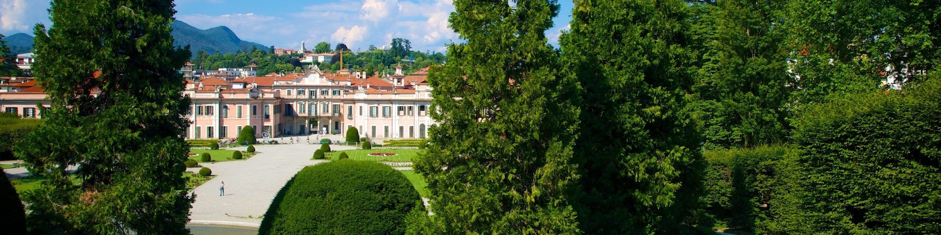 Estense Palace showing a park