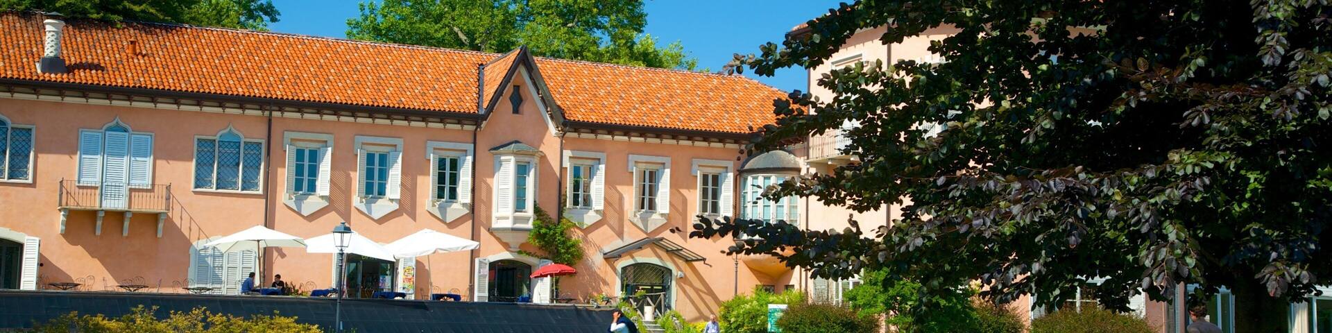 Estense Palace showing a park