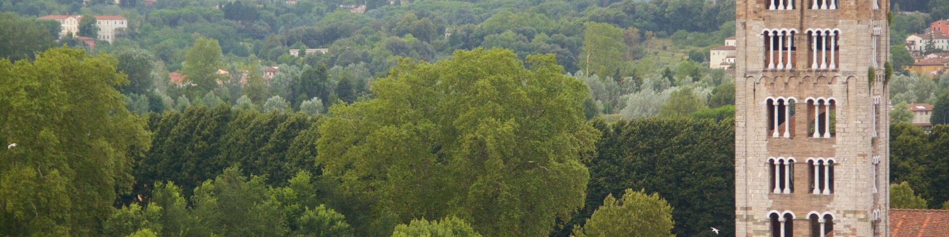 Basilica of San Frediano