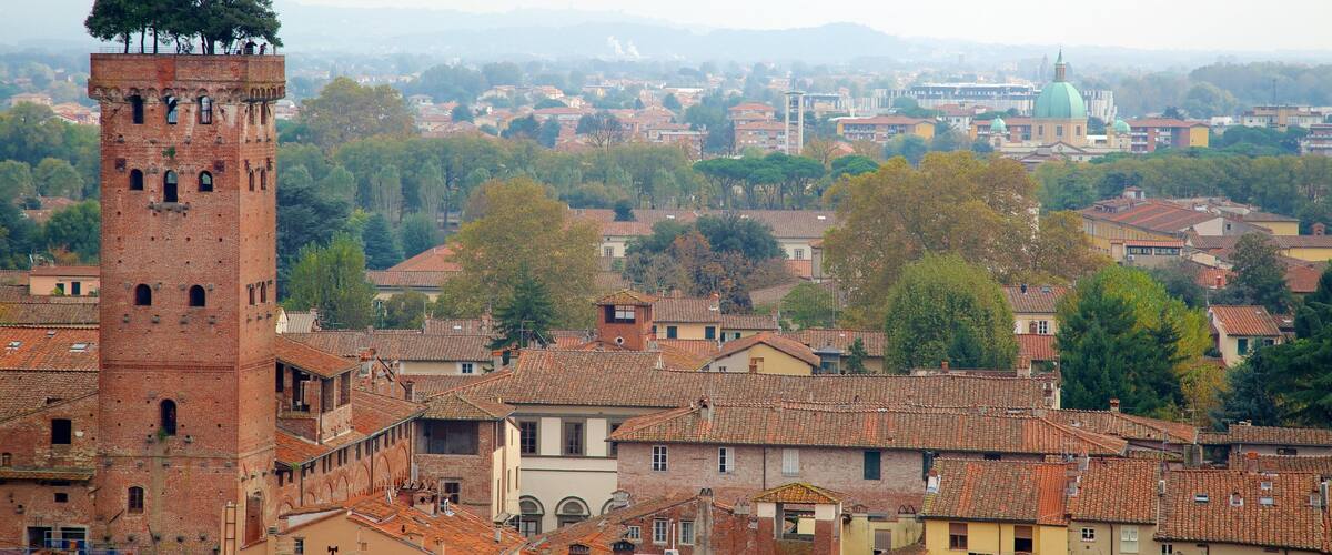 Torre Guinigi che include città e architettura d\'epoca