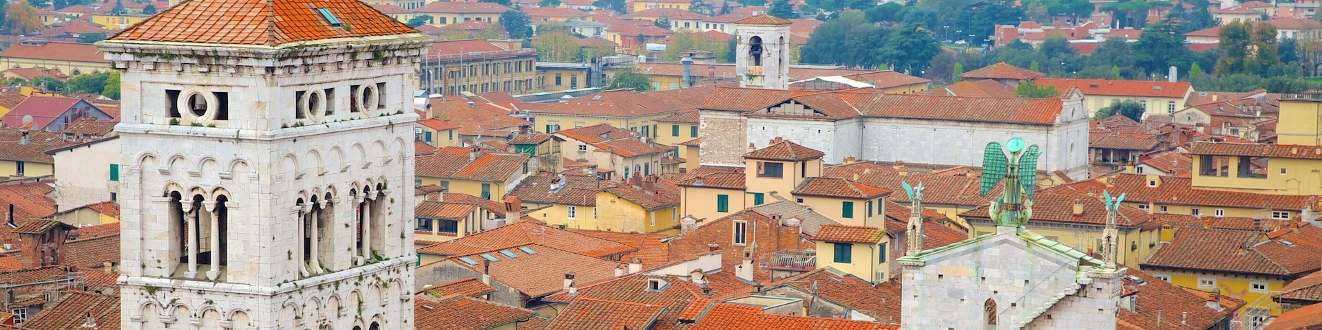 Torre delle Ore showing a city and heritage architecture