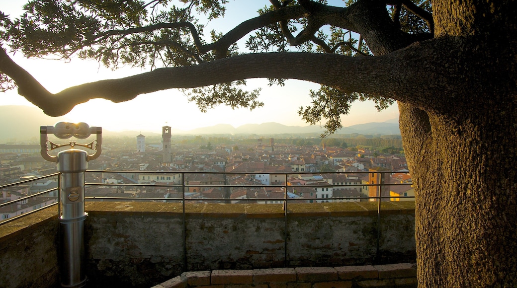Torre Guinigi che include città, tramonto e vista