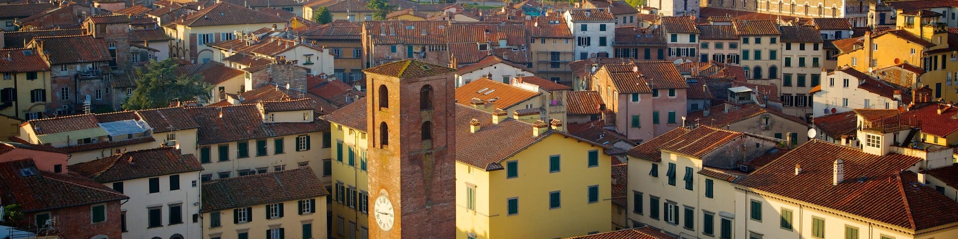 Guinigi Tower which includes a small town or village, skyline and heritage architecture