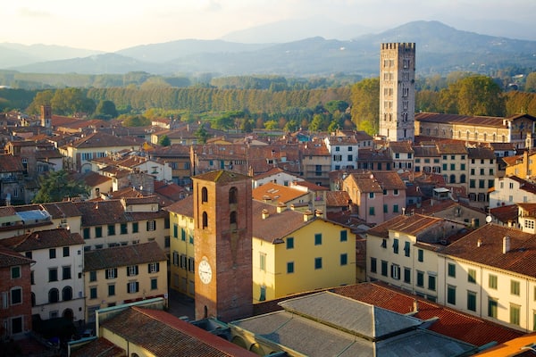 Guinigi Tower which includes a small town or village, skyline and heritage architecture