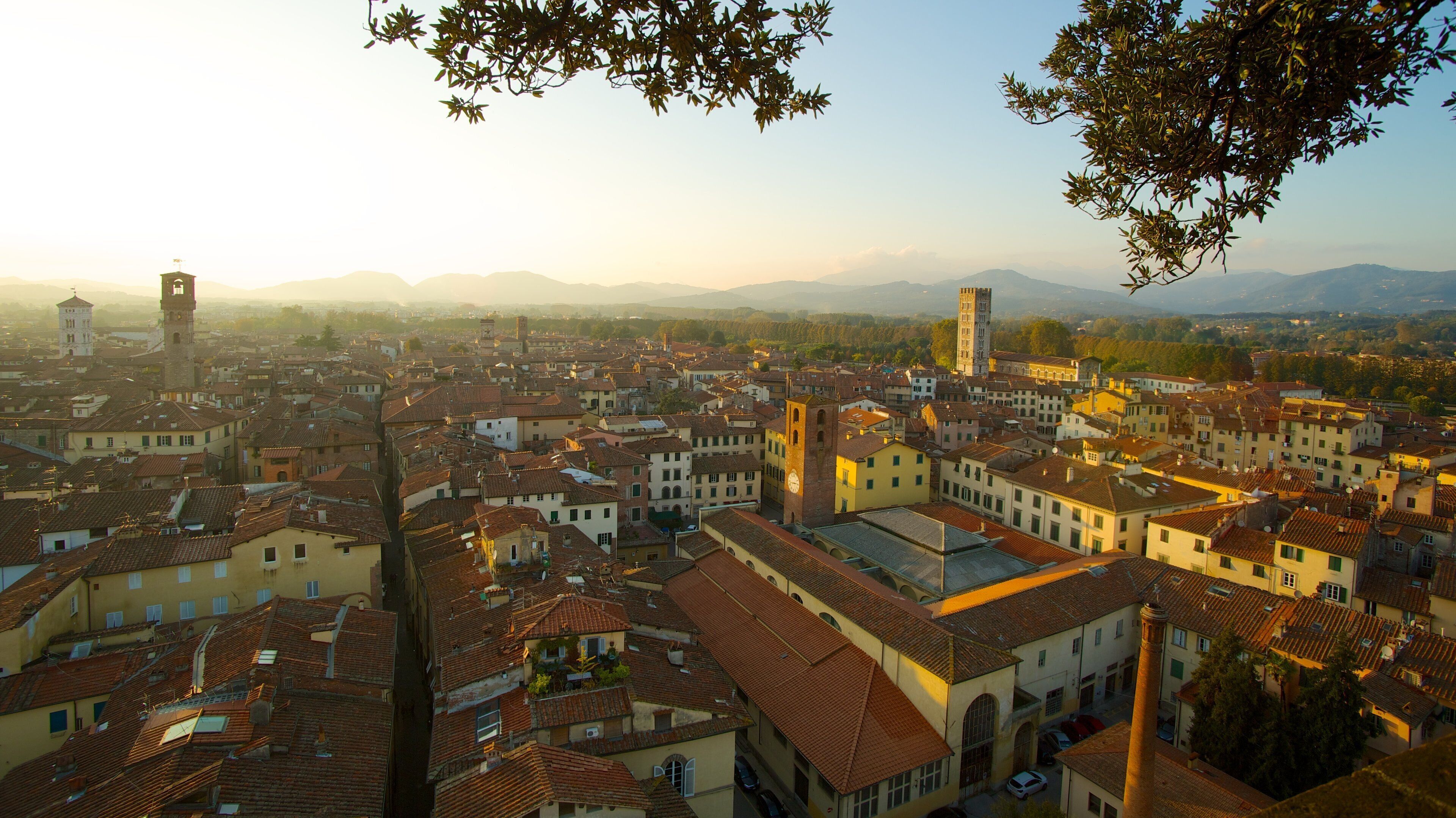 Guinigi Tower featuring a city, a sunset and skyline