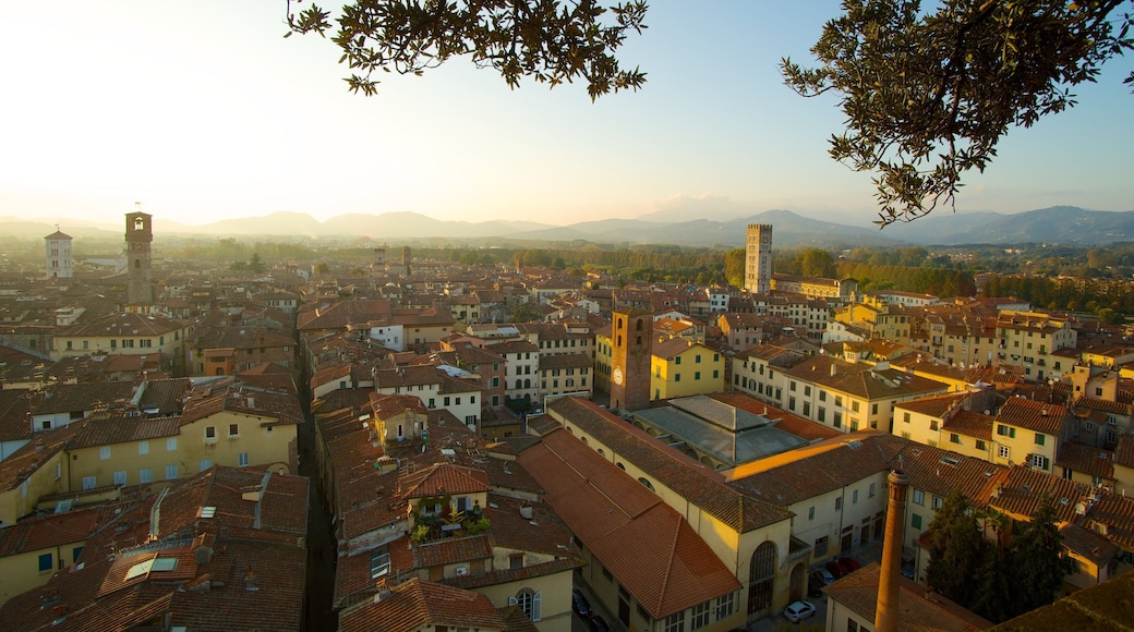 Torre Guinigi caratteristiche di città, skyline e tramonto