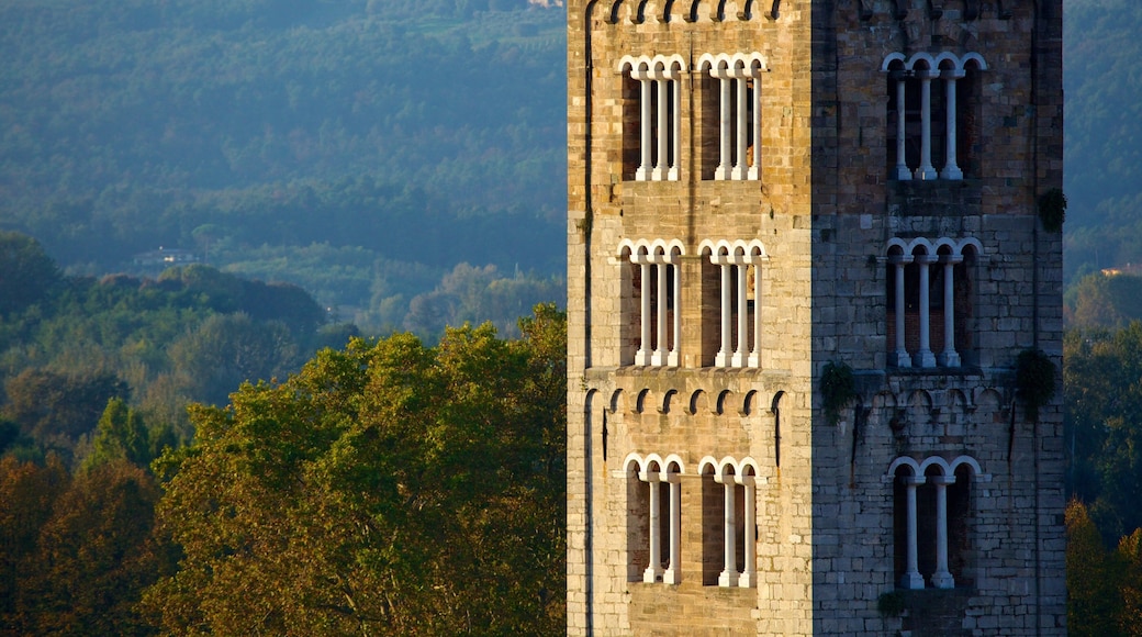 Torre Guinigi che include architettura d\'epoca e paesaggio forestale