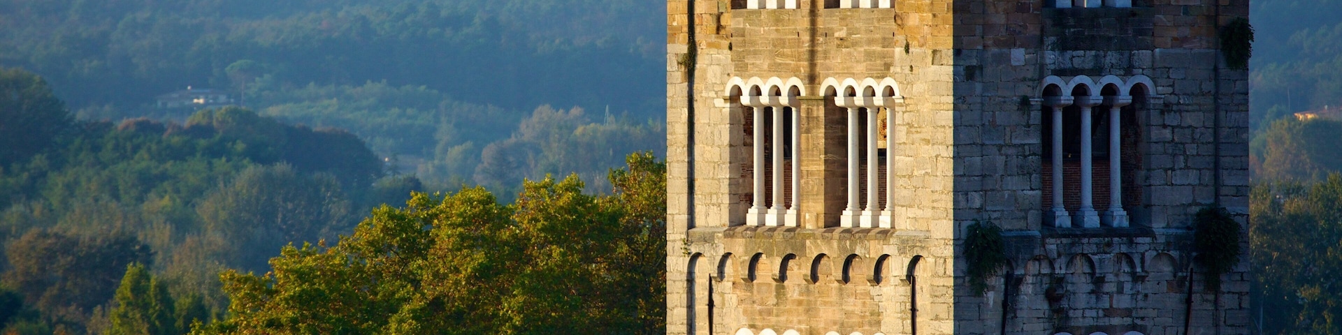 Torre Guinigi caracterizando arquitetura de patrimônio e cenas de floresta