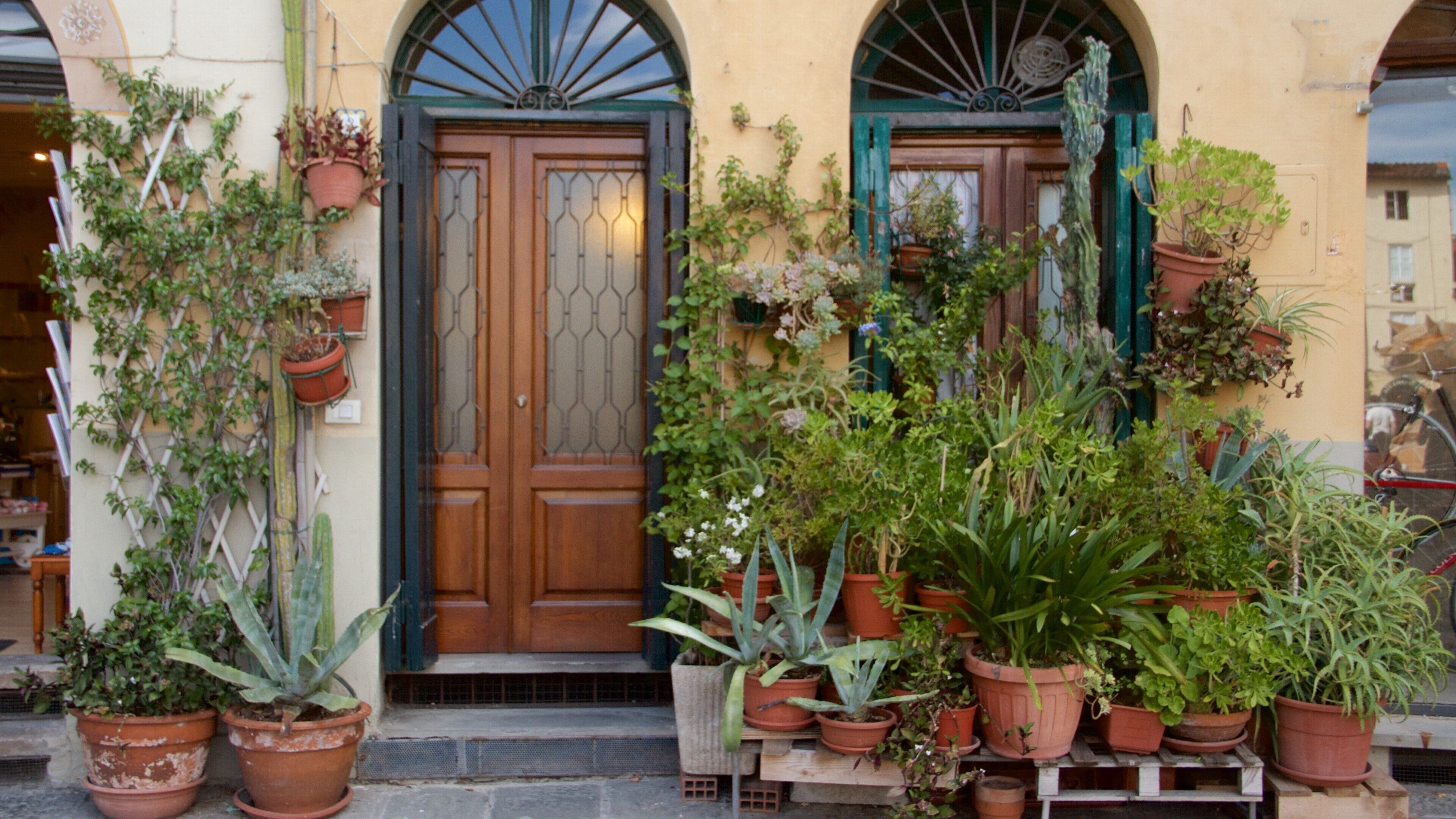 Lucca featuring a house