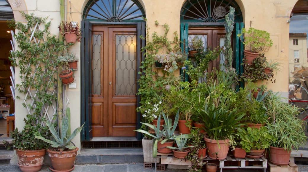 Lucca which includes a house