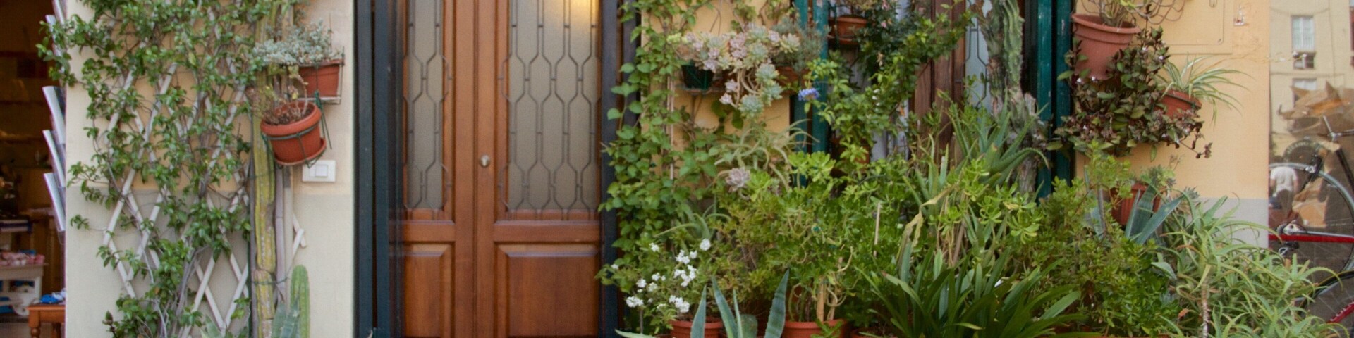 Lucca que incluye una casa