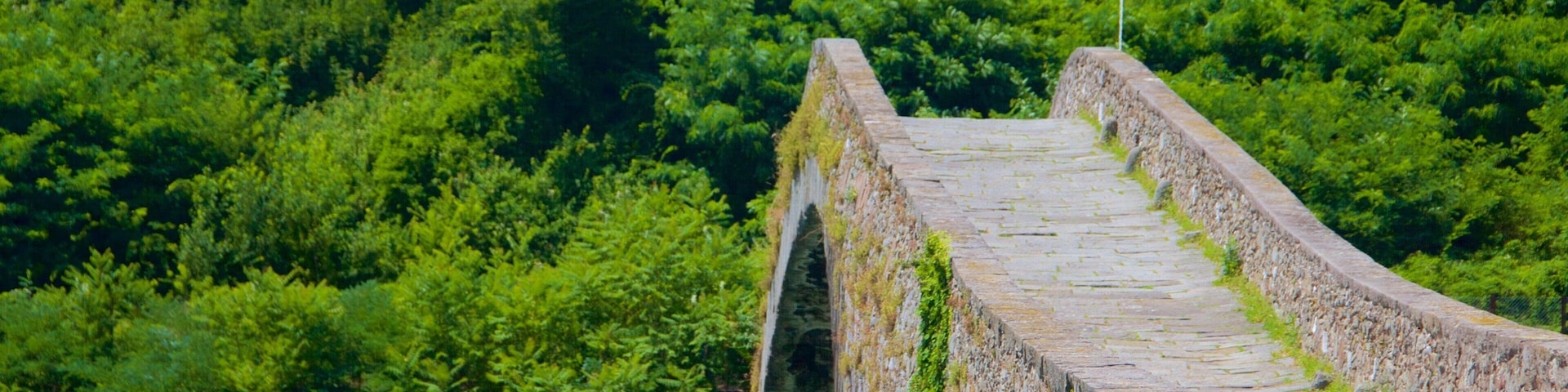 Ponte della Maddalena showing a bridge