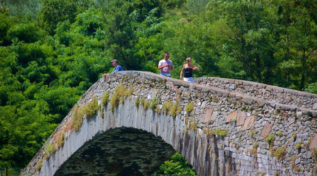 Ponte della Maddalena showing a bridge as well as a couple