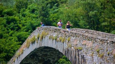 Ponte della Maddalena showing a bridge as well as a couple