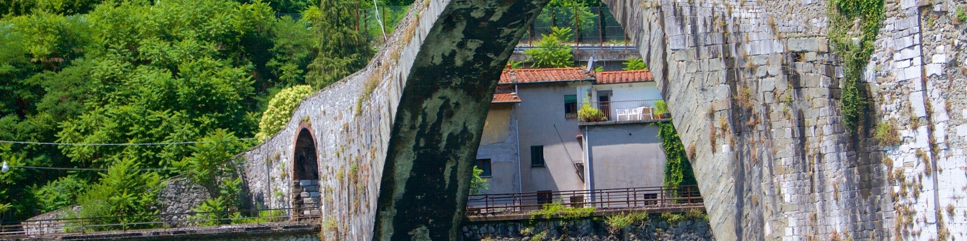 Ponte della Maddalena featuring a bridge