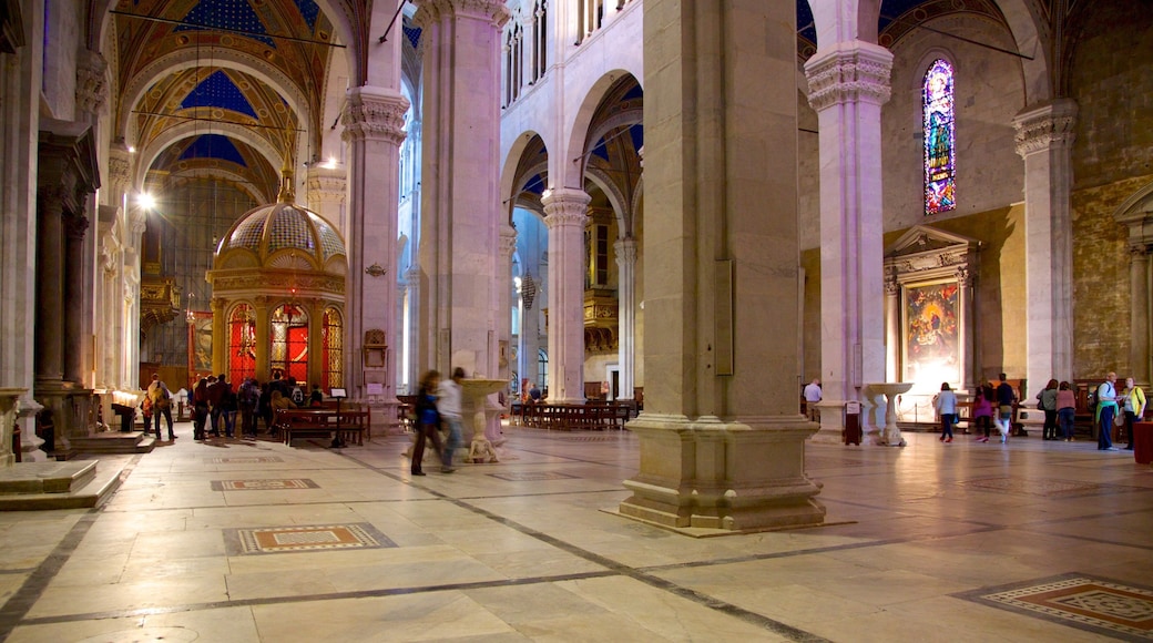 Cathedral of St Martin showing interior views, heritage elements and a church or cathedral