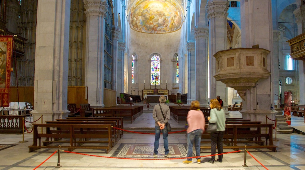 Cathedral of St Martin showing interior views, a church or cathedral and religious aspects