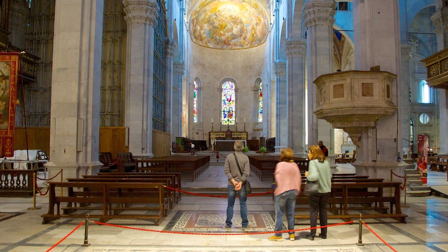 Cathedral of St Martin which includes a church or cathedral, interior views and religious aspects