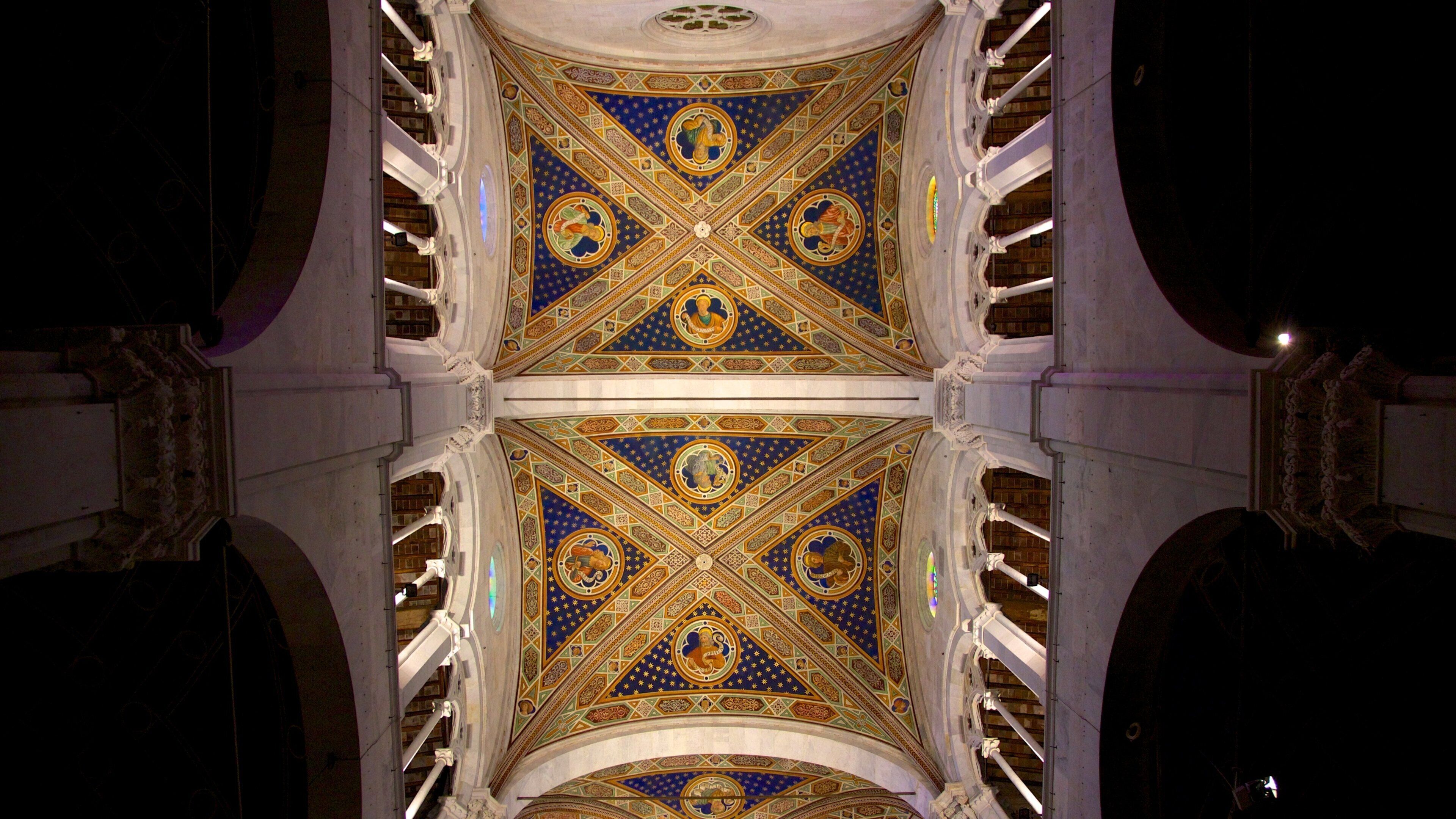 Catedral de San Martín que incluye vistas de interior y elementos religiosos