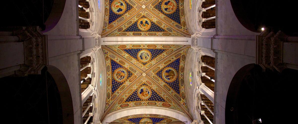 Cathedral of St Martin featuring interior views and religious aspects