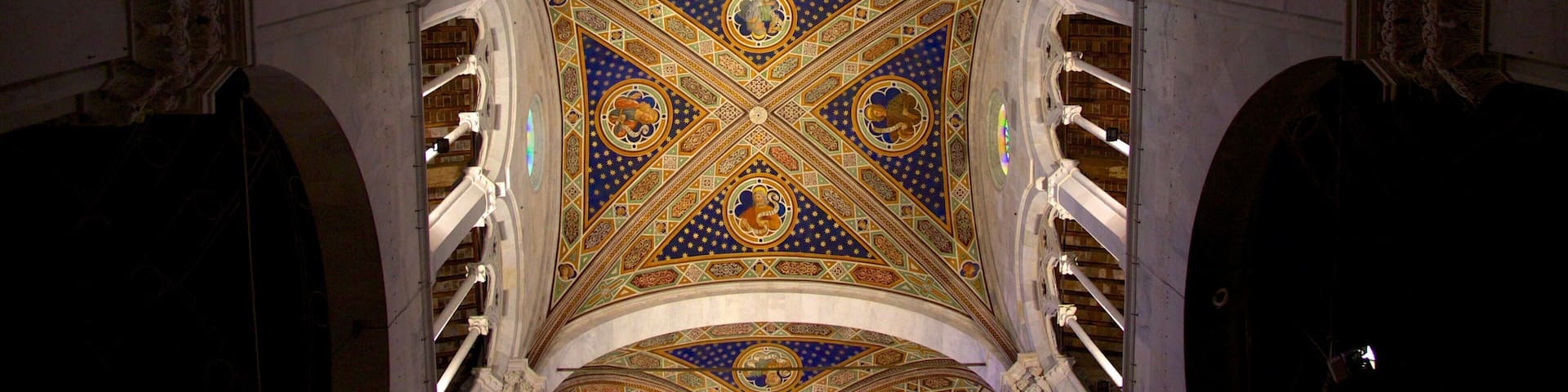 Cathedral of St Martin featuring religious elements and interior views