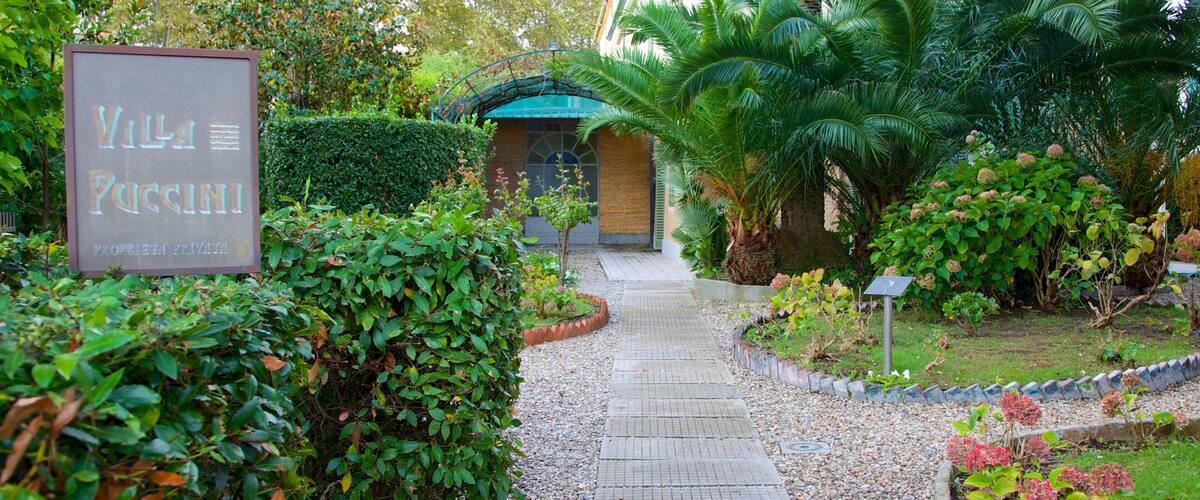 A pathway leading to Villa Paccini, surrounded by lush greenery and palm trees.