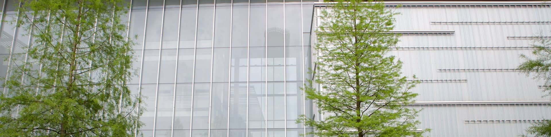 ショー芸術センター 表示 現代建築