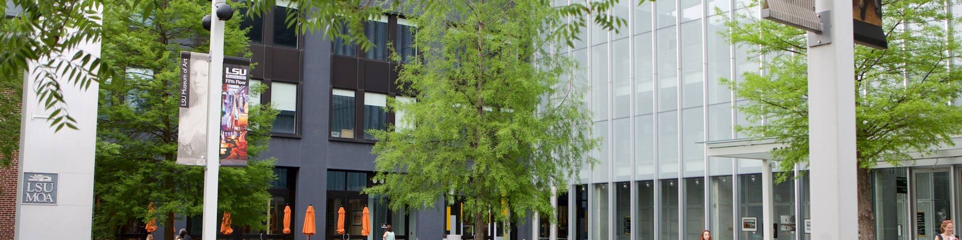 ショー芸術センター