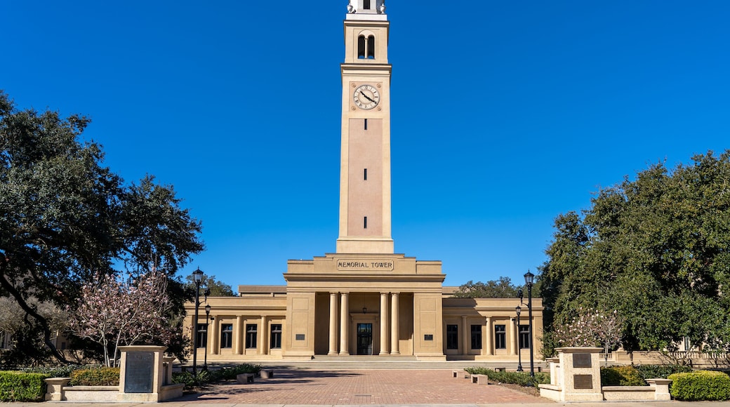 Louisiana State University