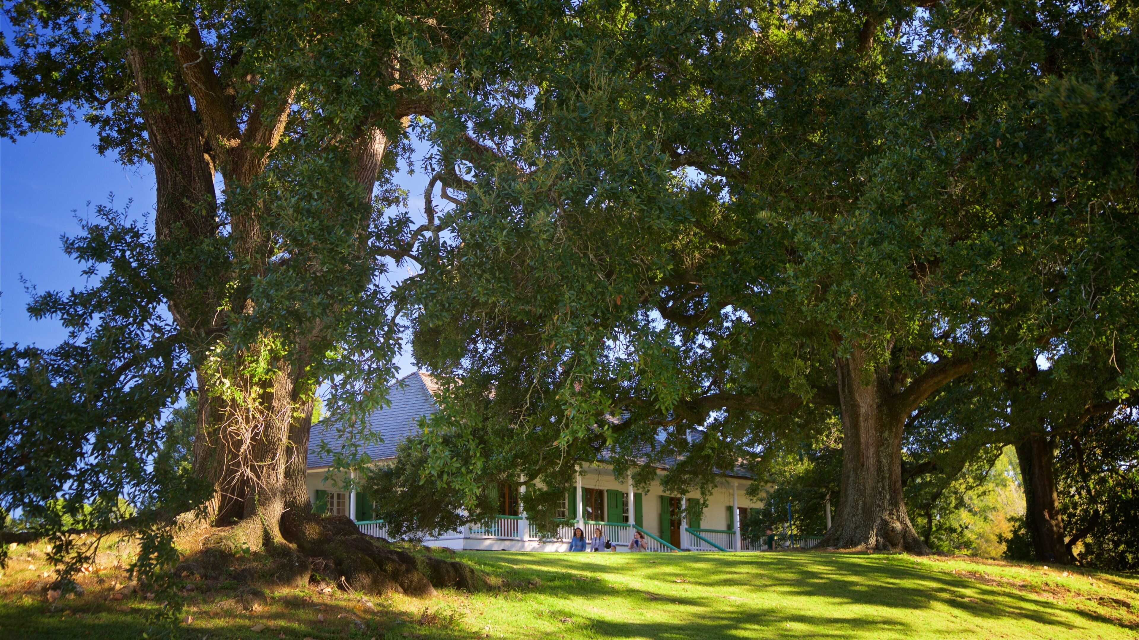 Magnolia Mound Plantation House showing a house