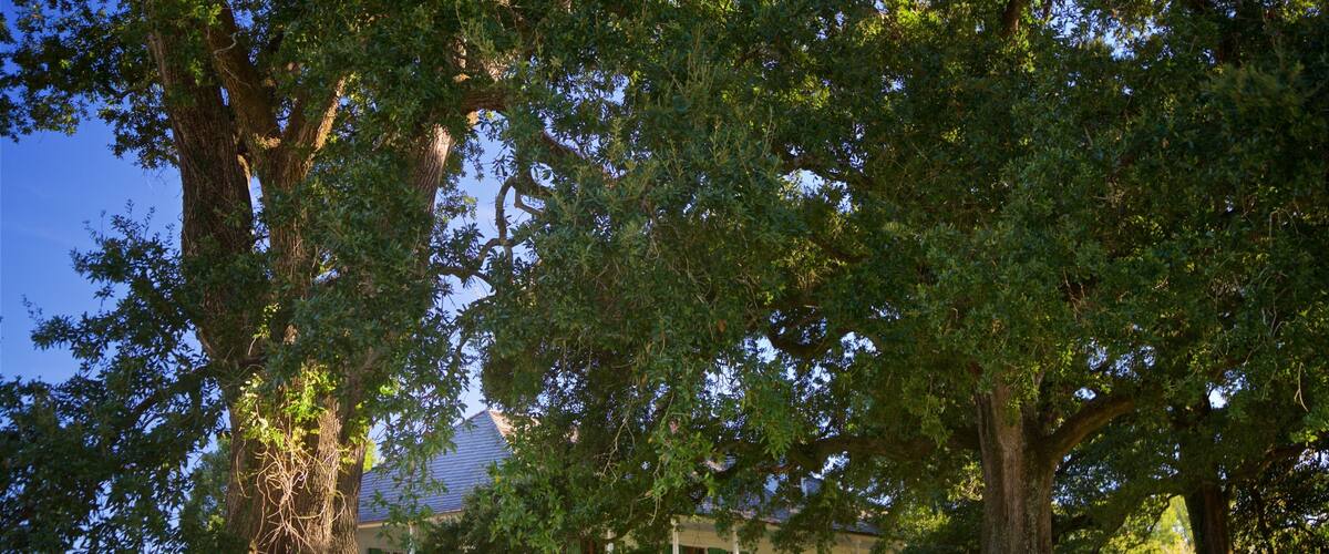 Magnolia Mound Plantation House featuring a house