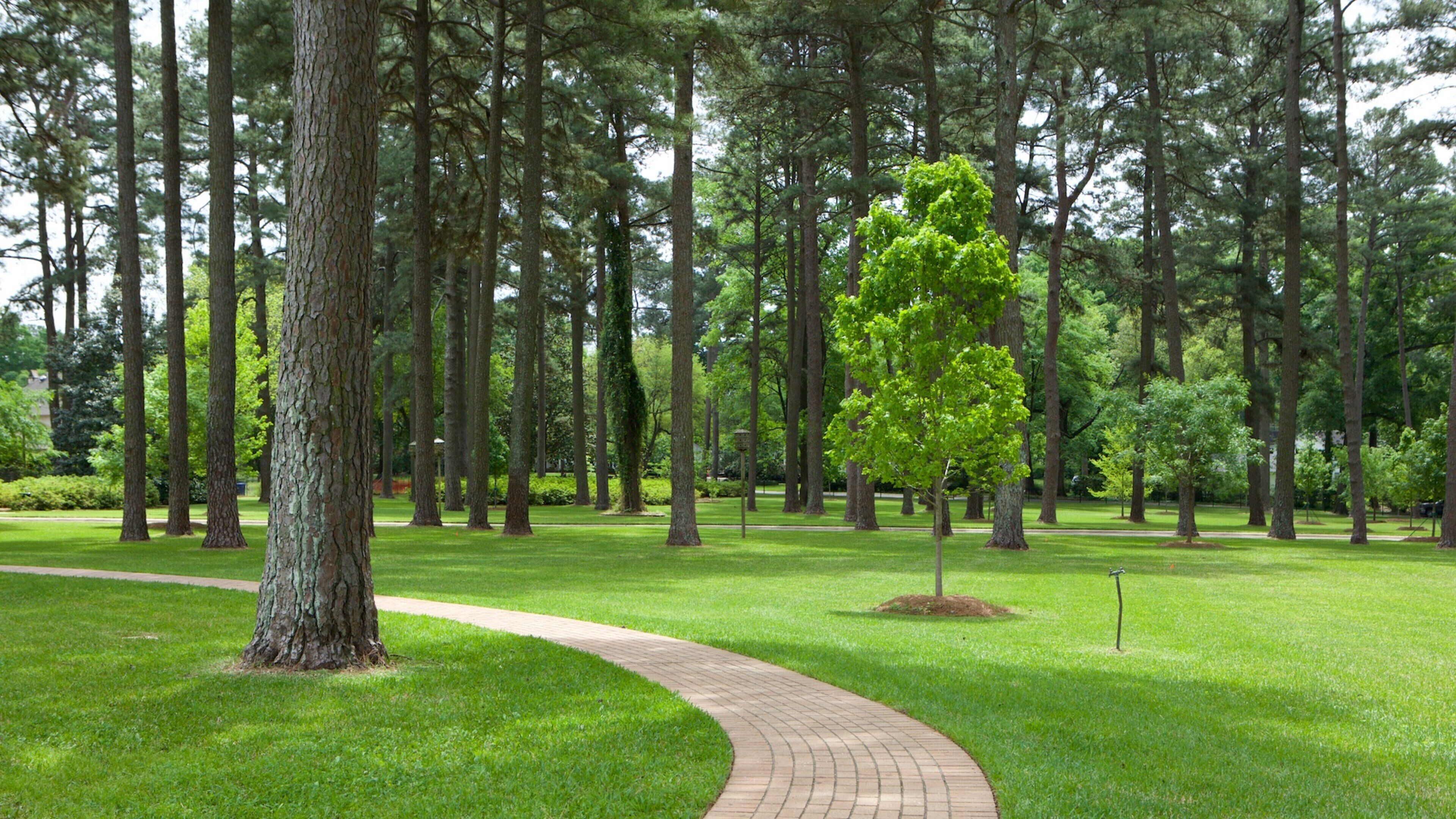 R.W. Norton Art Gallery which includes a garden