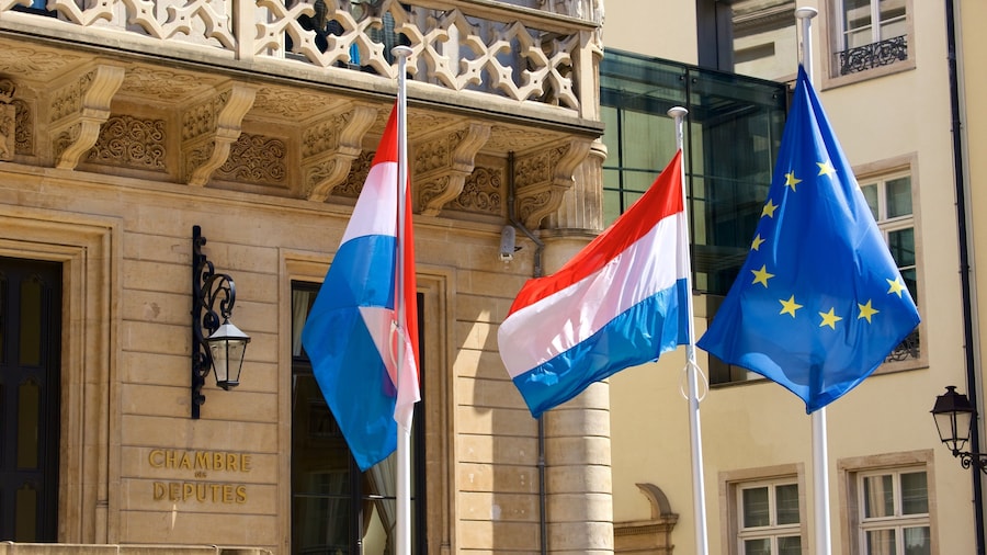 Grand Ducal Palace featuring château or palace, heritage architecture and heritage elements