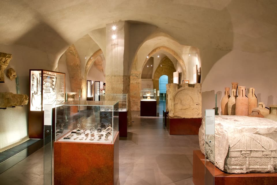 Een archeologisch museum met stenen artefacten en aardewerk tentoongesteld in glazen vitrines.