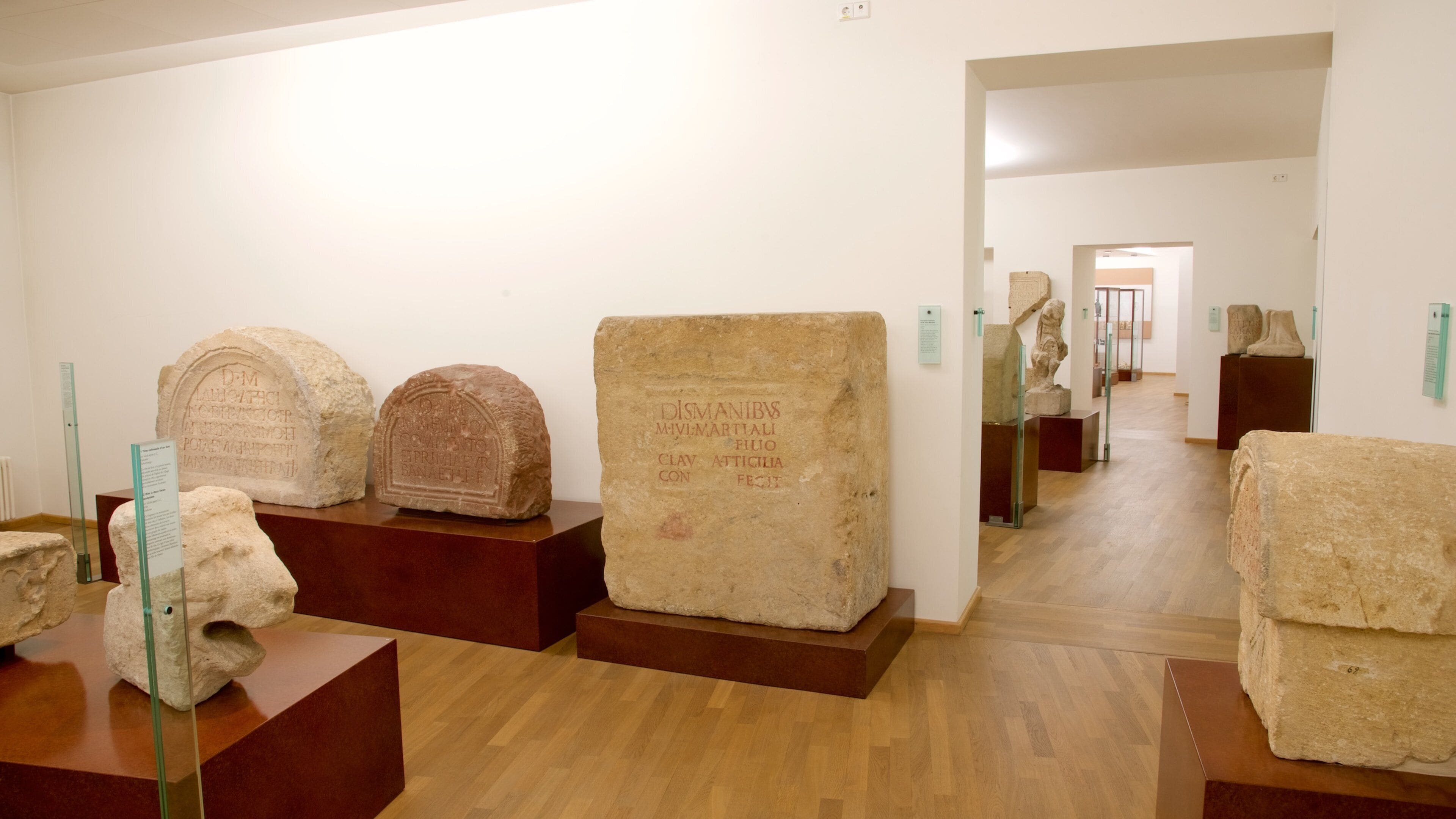 A museum exhibit with ancient stone artifacts on display.