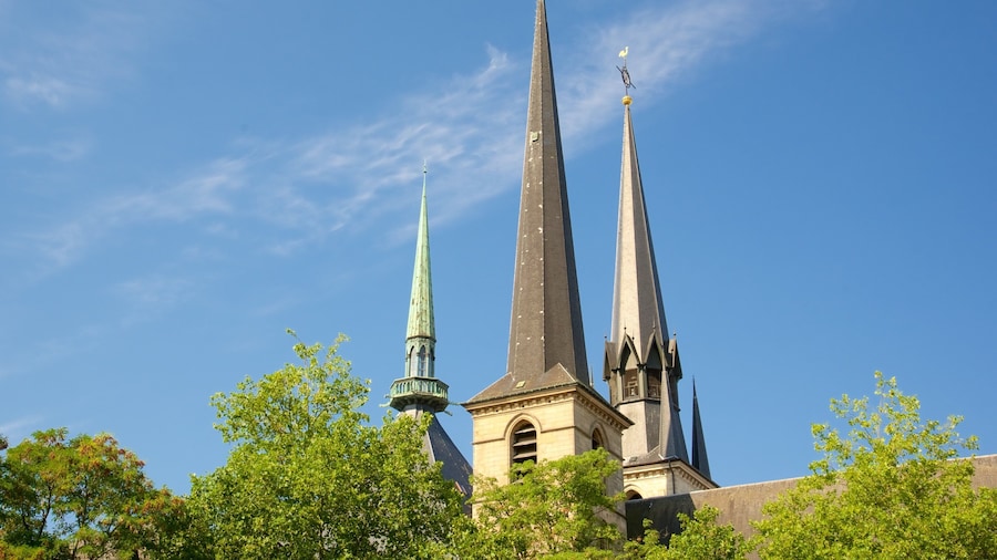 Notre-Dame Cathedral featuring a church or cathedral, heritage architecture and heritage elements