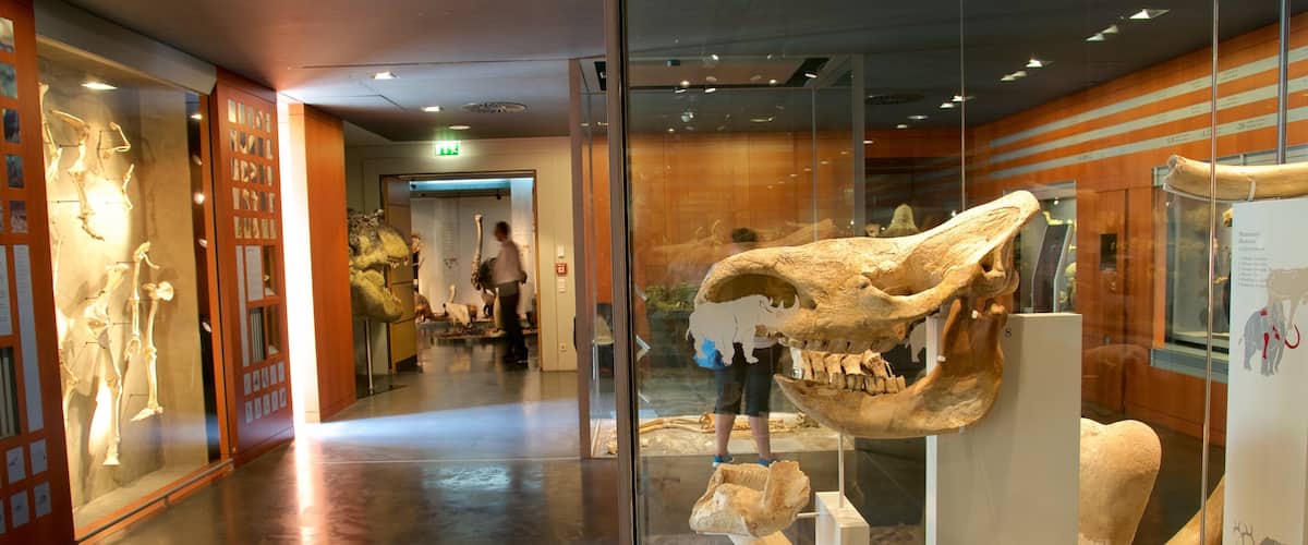 National Museum of Natural History