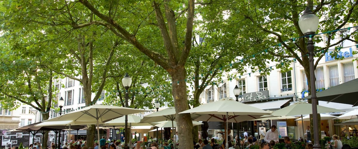 Place d\'Armes featuring café lifestyle and outdoor eating as well as a large group of people