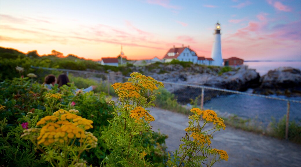 波特蘭燈塔 其中包括 綜覽海岸風景, 夕陽 和 野花