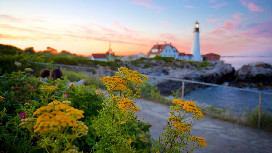 Portland Head Light showing a sunset, wildflowers and general coastal views