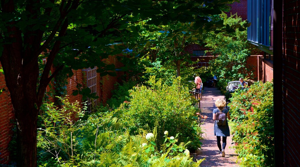 Wadsworth-Longfellow House toont wilde bloemen en een park en ook een vrouw