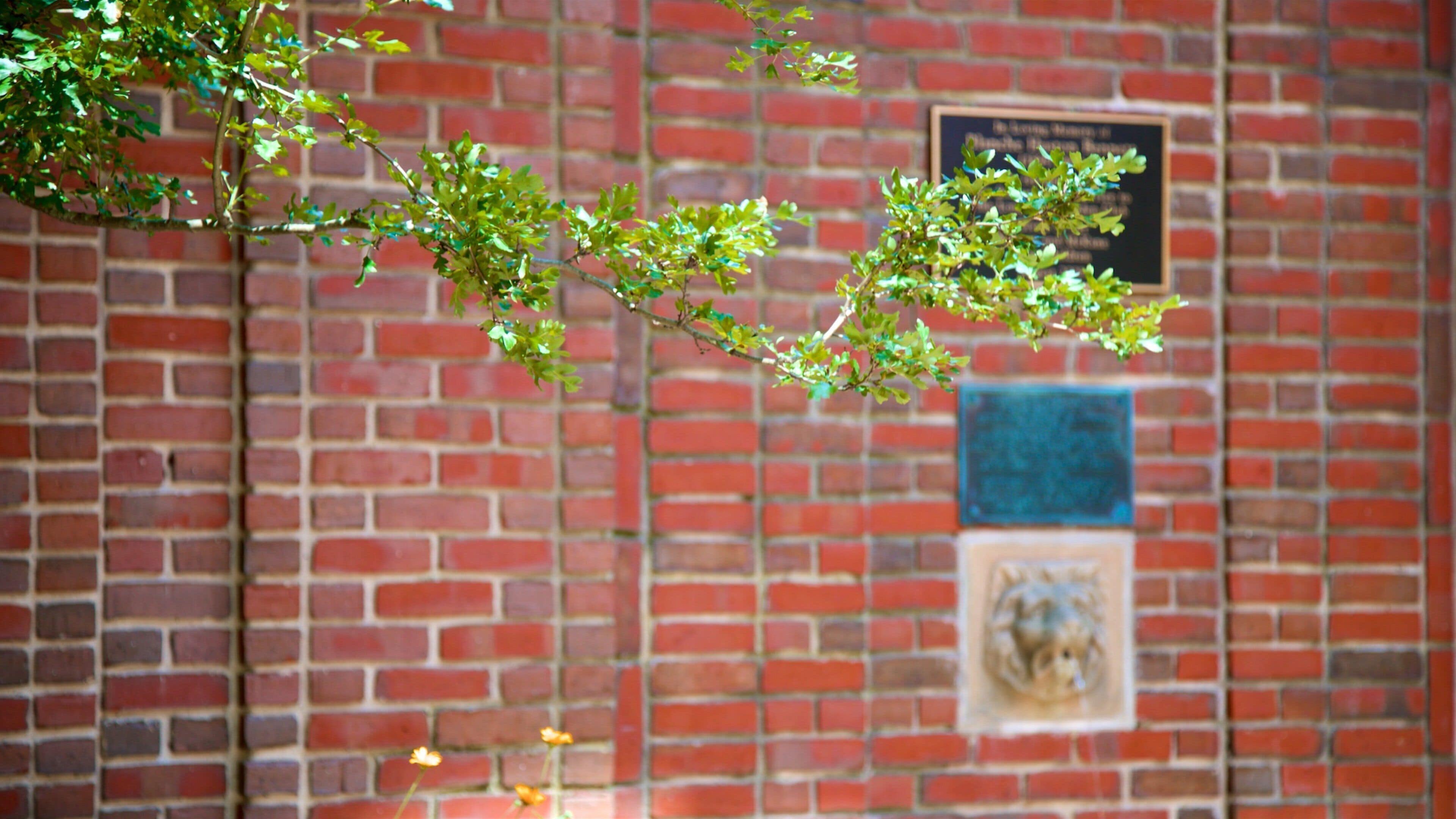 衛茲伍郎費羅居所