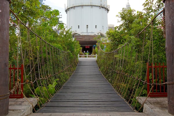 Kuala Lumpur Tower featuring a garden and a suspension bridge or treetop walkway